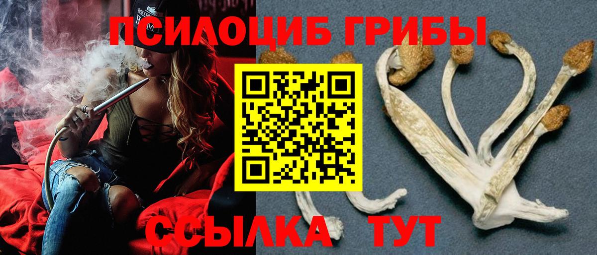 наркошоп  Псилоцибиновые грибы мухоморы  Вход с VPN  Конаково 